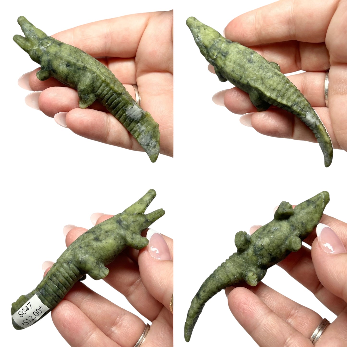 Serpentine Crocodile