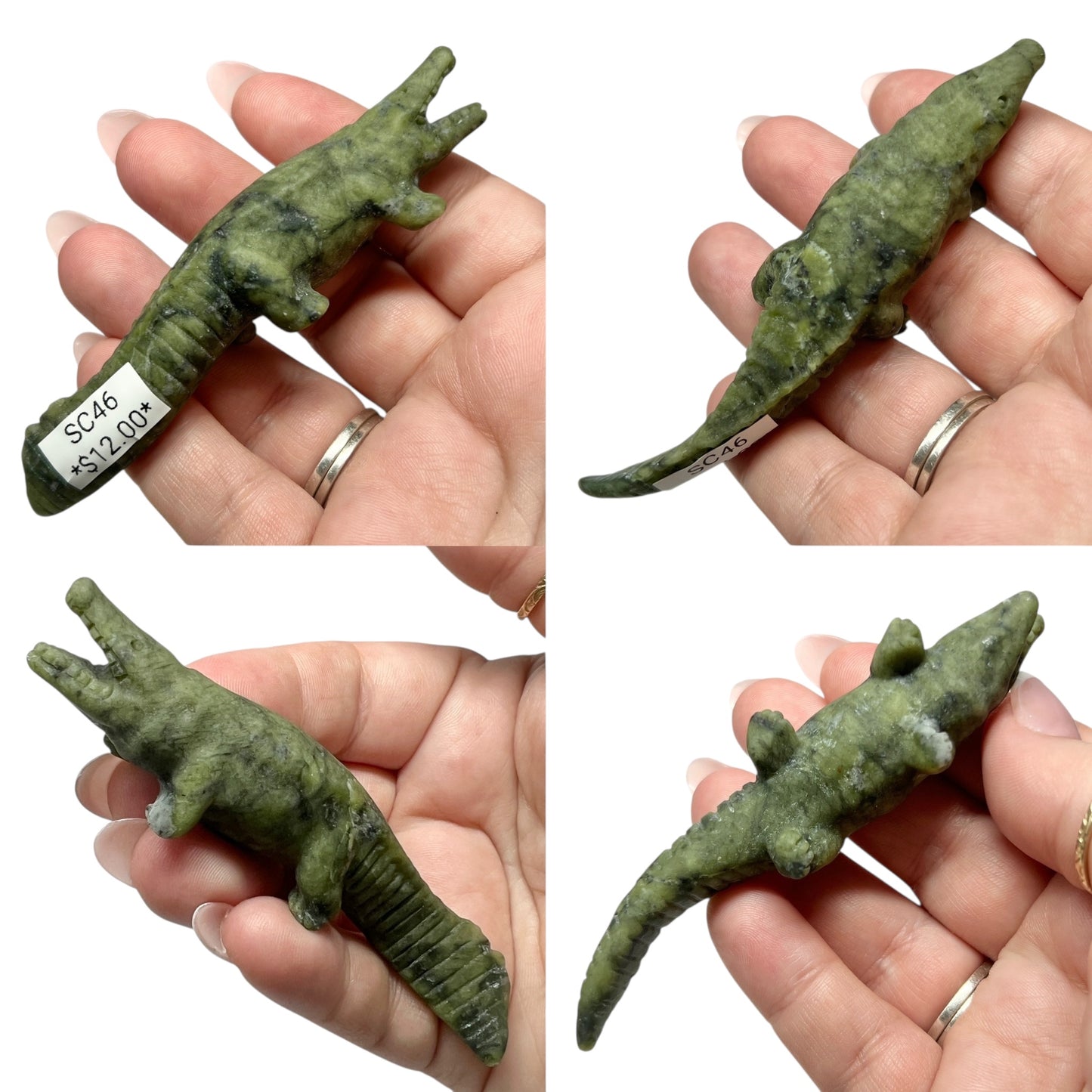 Serpentine Crocodile