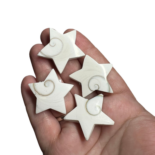 Shiva Shell Star